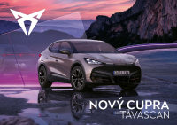 Cupra Tavascan - cennik 10-2024